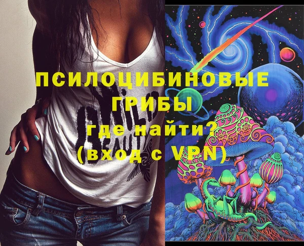 PSILOCYBIN Рославль