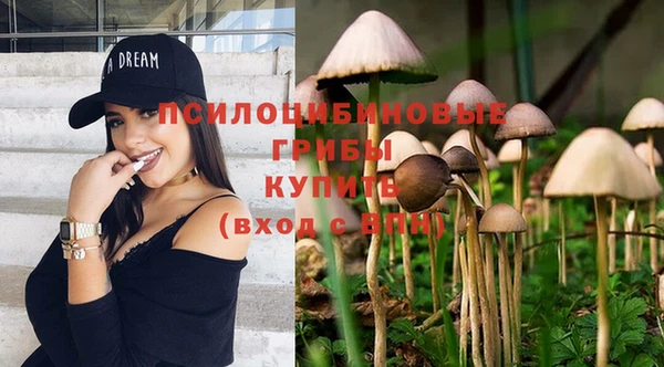 синтетический гашиш Беломорск