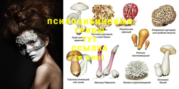 бутират Россошь